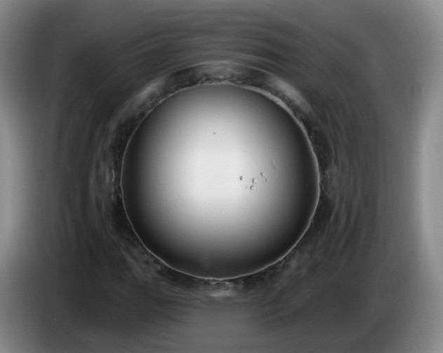 X0000085081111200703121657