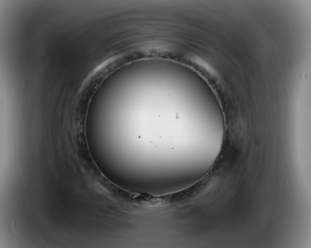 X0000085081112200703121657