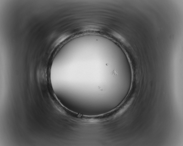 X0000085081113200703121657