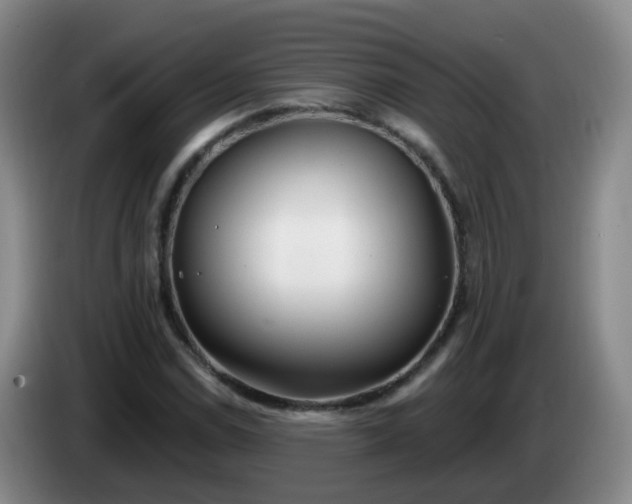 X0000085081114200703121657