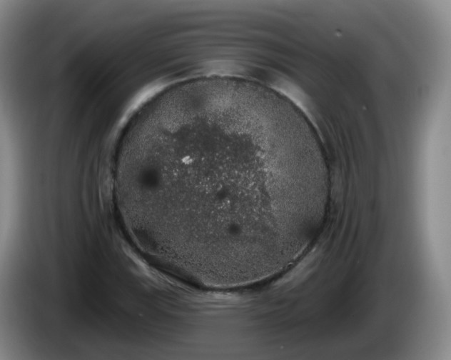 X0000085081115200703121657