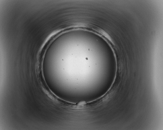 X0000085081116200703121657