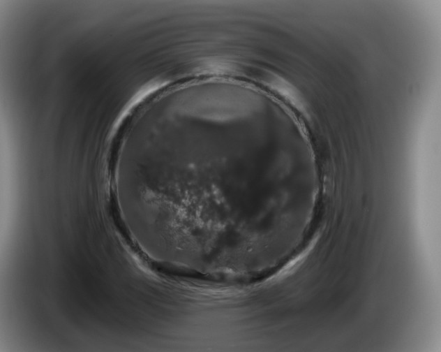 X0000085081117200703121657