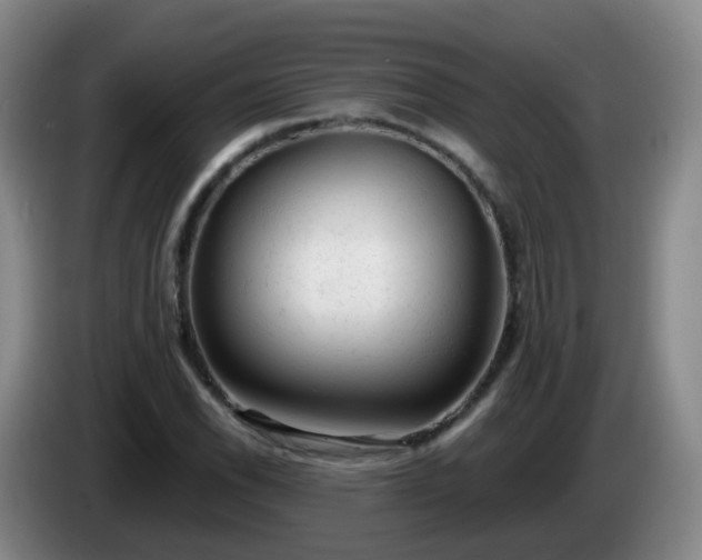 X0000085081118200703121657