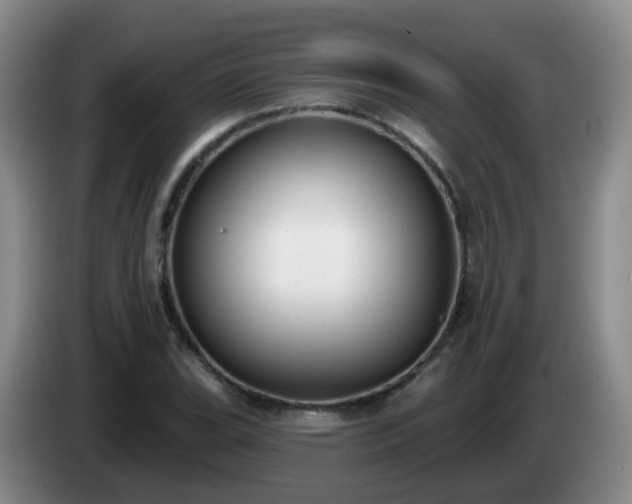 X0000085081119200703121657