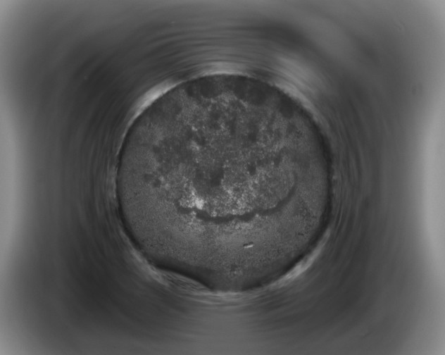 X0000085081121200703121657