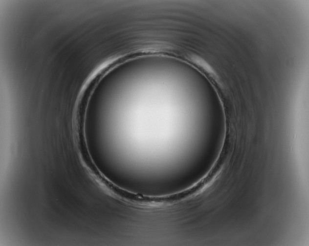 X0000085081122200703121657