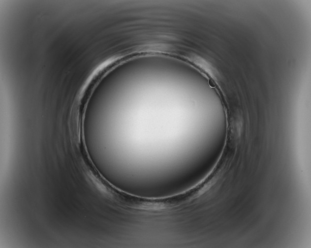 X0000085081123200703121657