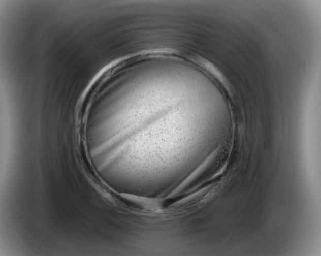 X0000085081124200703121657