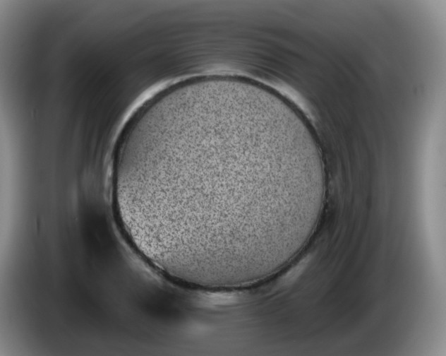 X0000085081126200703121657