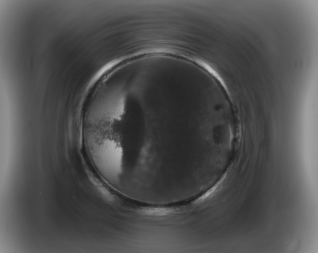 X0000085081127200703121657