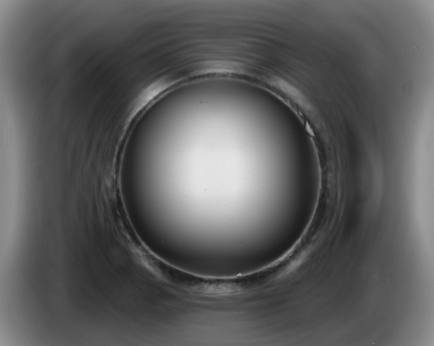 X0000085081129200703121657