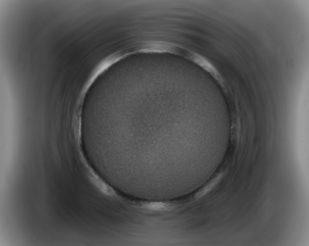 X0000085081130200703121657