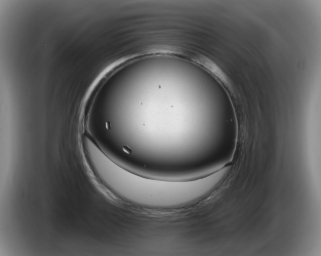 X0000085081132200703121657