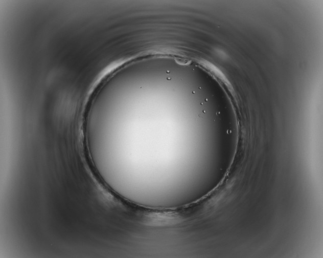 X0000085081133200703121657