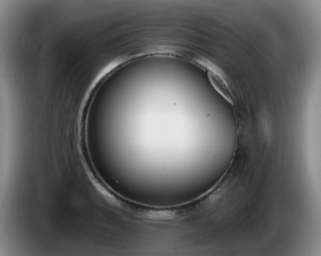 X0000085081135200703121657