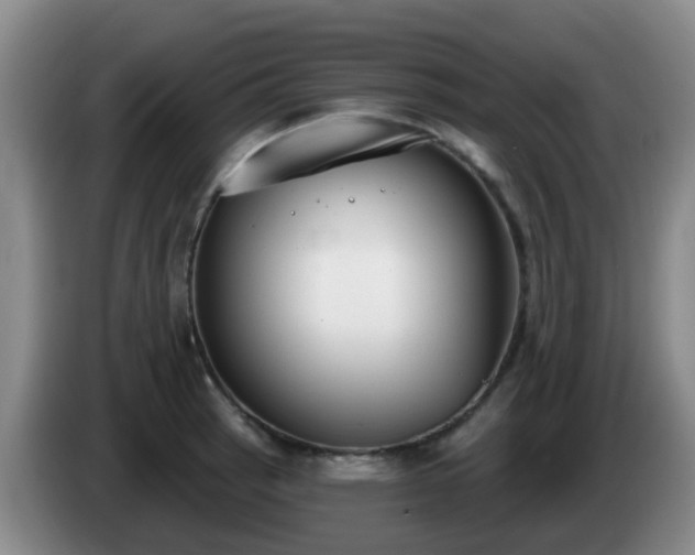 X0000085081137200703121657