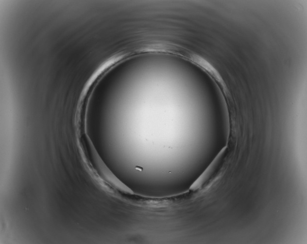 X0000085081138200703121657