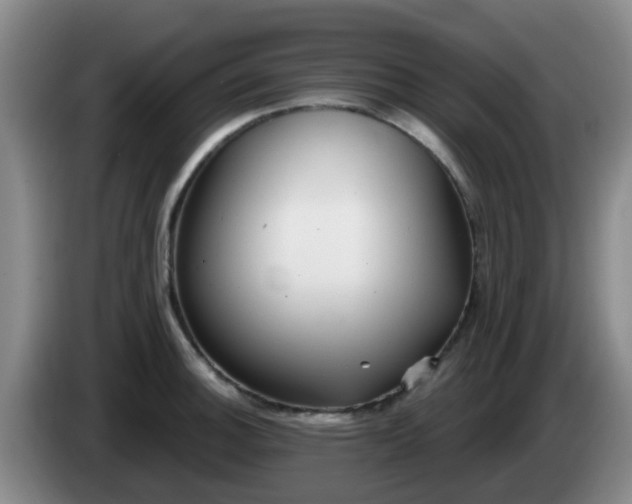 X0000085081140200703121657