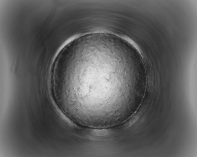 X0000085081142200703121657