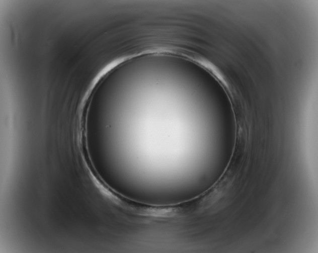 X0000085081143200703121657