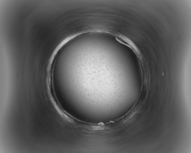 X0000085081144200703121658