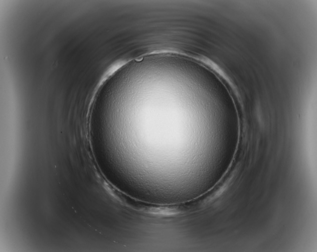 X0000085081145200703121658