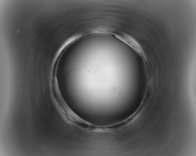 X0000085081146200703121658