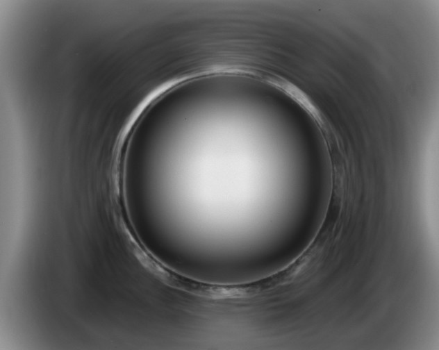 X0000085081148200703121658