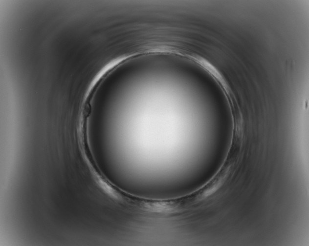 X0000085081149200703121658