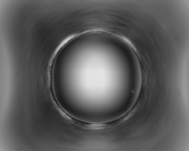 X0000085081151200703121658