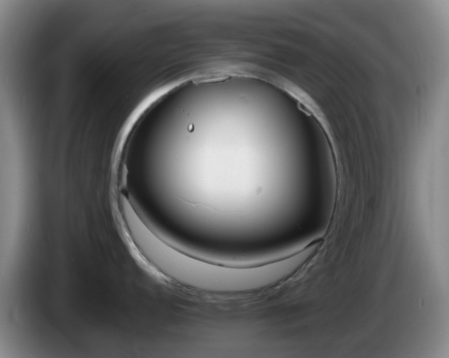 X0000085081152200703121658