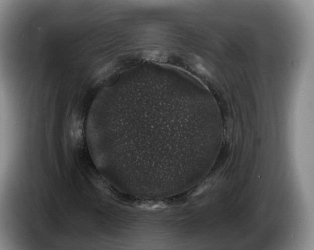 X0000085081154200703121657