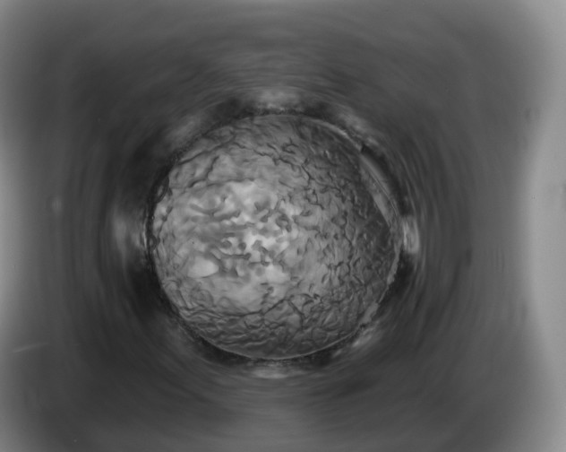 X0000085081155200703121657