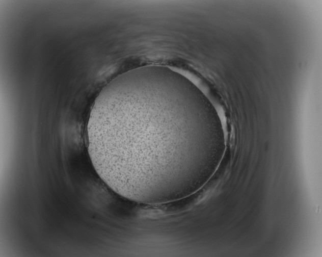 X0000085081156200703121657