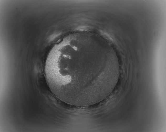 X0000085081158200703121657