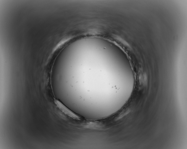 X0000085081160200703121657