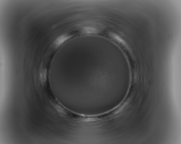 X0000085081161200703121657