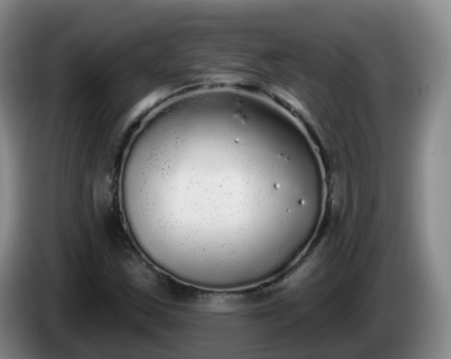 X0000085081163200703121657