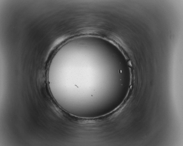 X0000085081164200703121657