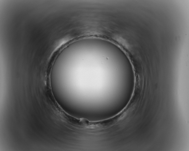 X0000085081165200703121657