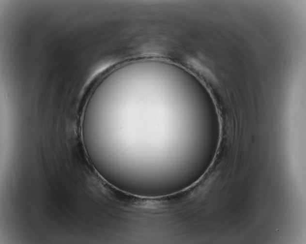 X0000085081166200703121657