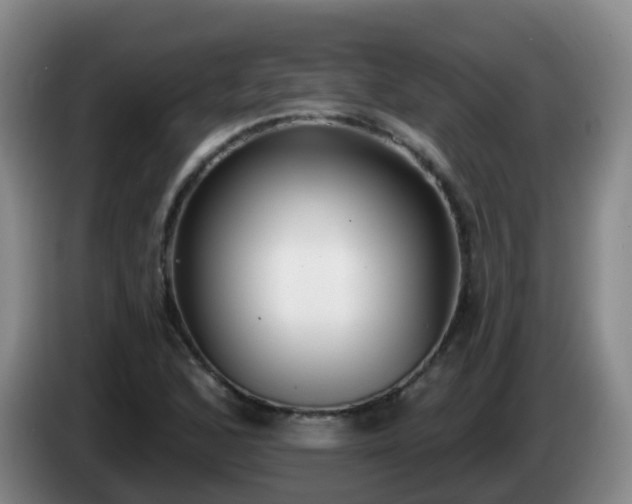 X0000085081168200703121657