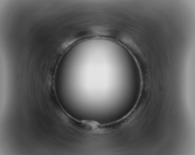 X0000085081169200703121657