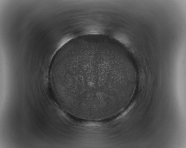 X0000085081170200703121657