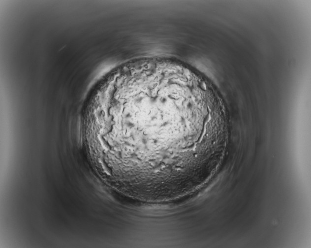 X0000085081171200703121657