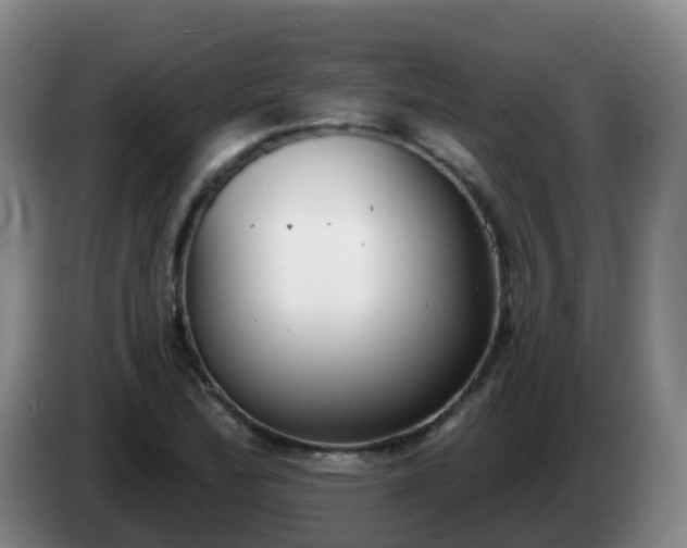 X0000085081172200703121657