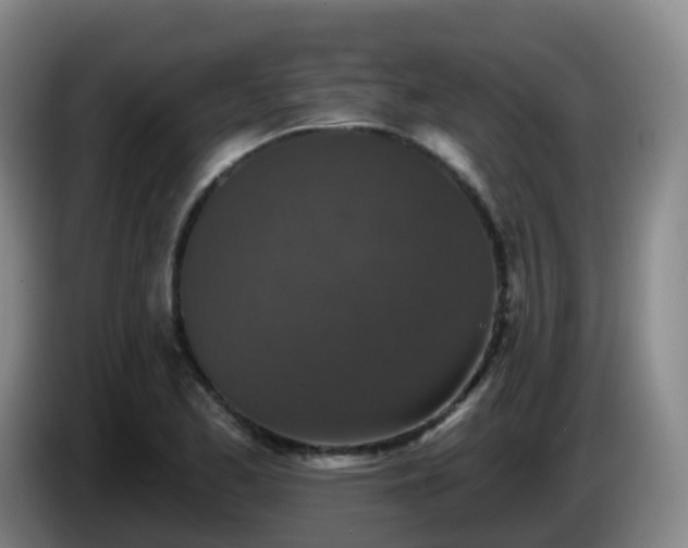 X0000085081173200703121657