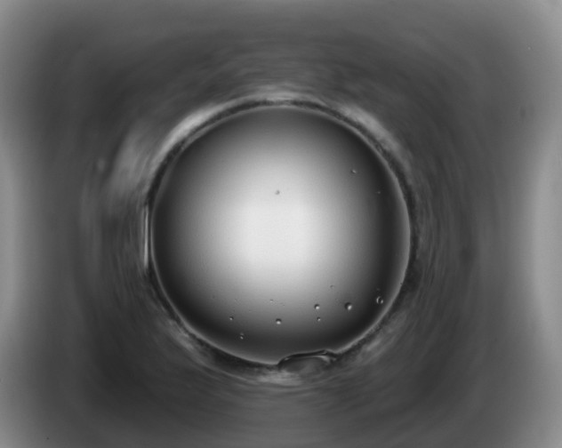 X0000085081175200703121657