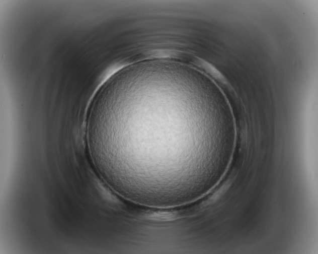 X0000085081178200703121657